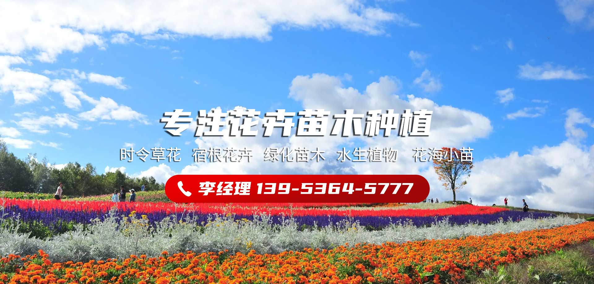 山東碩豐環保設備有限公司